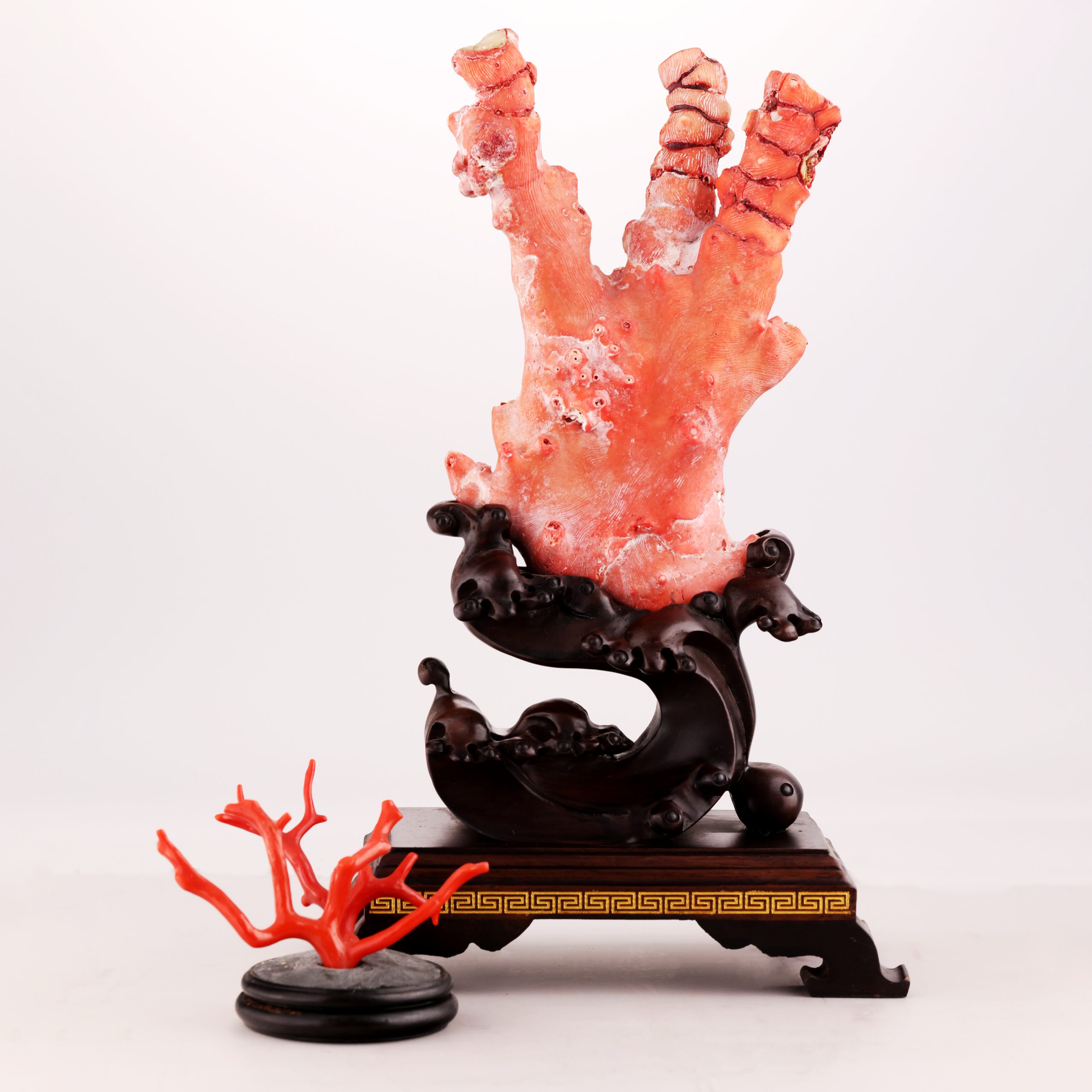 工藝擺件 紅珊瑚枝幹標本擺件