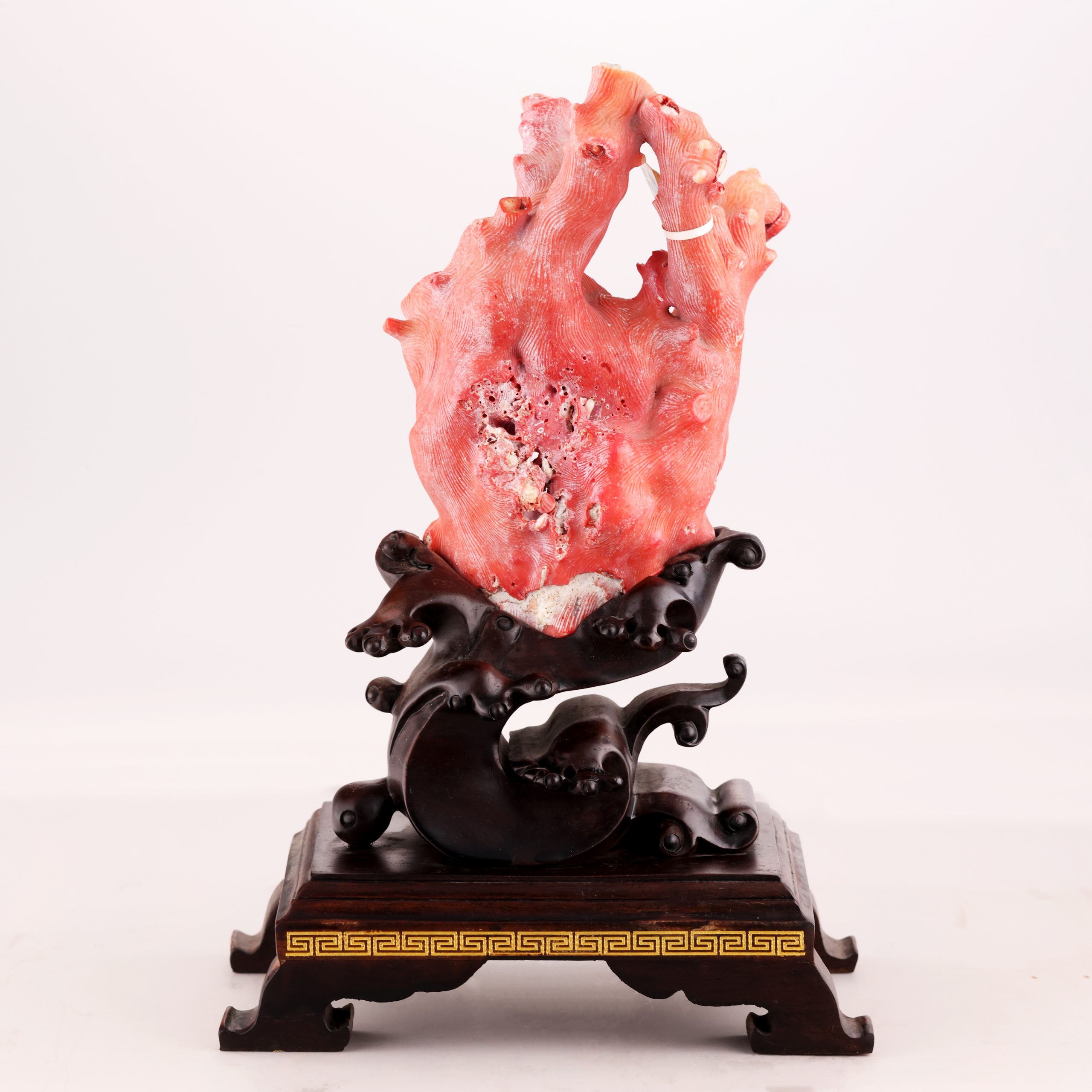 工藝擺件 紅珊瑚枝幹標本擺件